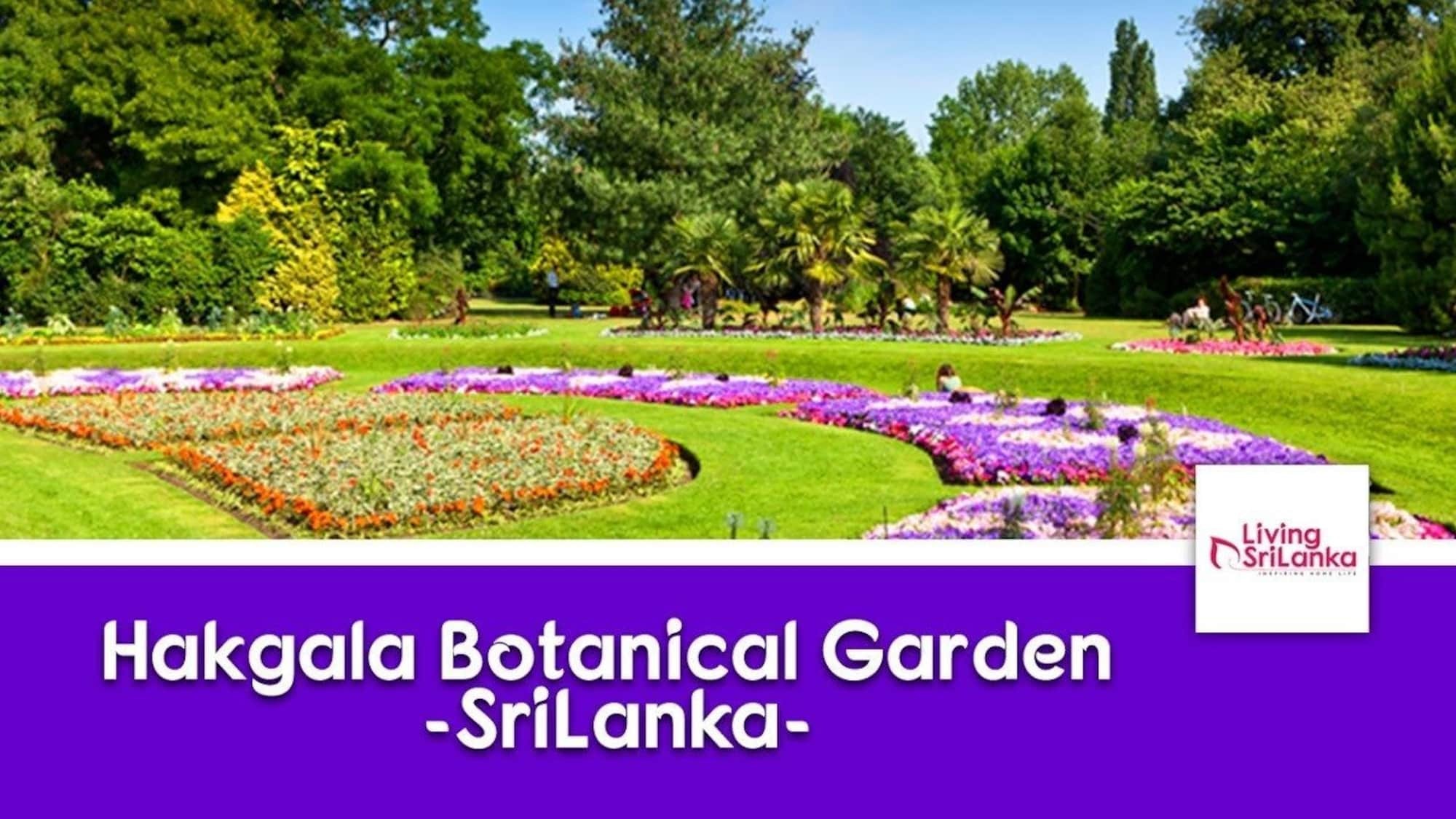 Casablanka Rest Konuk evi Nanu Oya Dış mekan fotoğraf